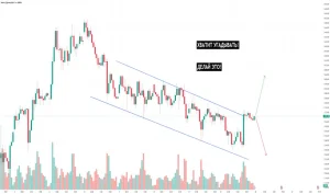 d181d182d180d0b0d182d0b5d0b3d0b8d18f-d0bdd0b0-d0b7d0bed0bbd0bed182d0b5-d184d0bed180d0b5d0bad181-d0bdd0bed0b2d18bd0b5-d0b3d0bed180d0b8